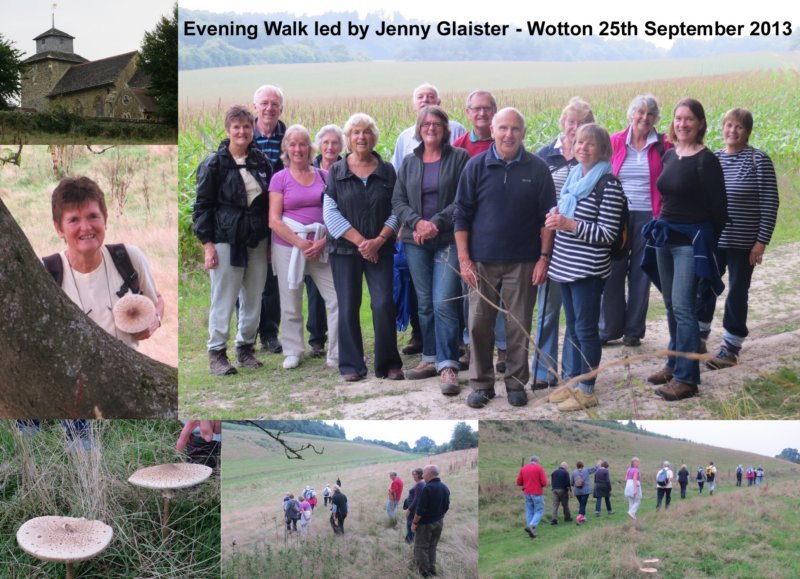 Wotton Evening Walk - 25th September 2013